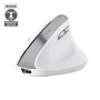 MOUSE USB OPTICAL WRL BAYO II/ERGO WHT 25398 TRUST