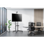 TV SET ACC FLOOR STAND 37-70/FL50-550BL1 NEOMOUNTS
