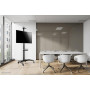 TV SET ACC FLOOR STAND BLACK/37-70 PLASMA-M1900E NEOMOUNTS