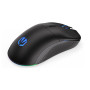MOUSE USB OPTICAL WRL GEM PLUS/BLACK EY6A013 ENDORFY