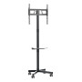 TV SET ACC FLOOR STAND 32-55/TVS-55T-03 GEMBIRD