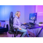 MOUSE USB OPTICAL GXT960/GRAPH. LIGHTWEIGHT 23758 TRUST