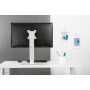 MONITOR ACC DESK MOUNT 10-30/FPMA-D890WHITE NEOMOUNTS