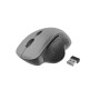 MOUSE USB OPTICAL WRL BLACK/SP. GREY MUSW-6B-02-BG GEMBIRD