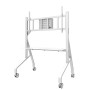 TV SET ACC FLOOR STAND 65-110/FL50-575WH1 NEOMOUNTS