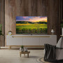 TV Set, THOMSON, 55, 4K/Smart, QLED, 3840x2160, Bluetooth, Google TV, 55QG5C14