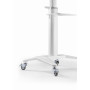 TV SET ACC FLOOR STAND 37-70/WHITE TVS-70T-02-W GEMBIRD