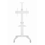TV SET ACC FLOOR STAND 37-70/WHITE TVS-70T-02-W GEMBIRD