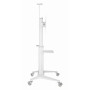 TV SET ACC FLOOR STAND 37-70/WHITE TVS-70T-02-W GEMBIRD