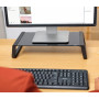 MONITOR ACC STAND MONTA/GLASS BLK 25271 TRUST