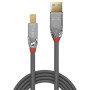 CABLE USB3.2 A-B 0.5M/ANTHRA 36740 LINDY