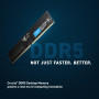 MEMORY DIMM 32GB DDR5-5600/CT32G56C46U5 CRUCIAL