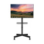 TV SET ACC FLOOR STAND 32-55/TVS-55T-03 GEMBIRD