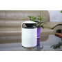 MOSQUITO TRAP PICTORIS/COP001121 STYLIES