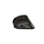 MOUSE USB OPTICAL ERGONOMIC/VOXX 23731 TRUST