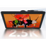 GRAPHIC TABLET 475.392X267.408/ARTIST PRO 22 (GEN 2) XPPEN