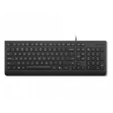 LENOVO ESSENTIAL WIRED KEYBOARD US EURO (COPILOT)