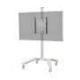 BT7550-SF2/B