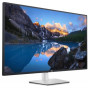 DELL-U4323QE