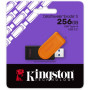 DTXS/256GB