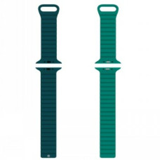 CELLY WATCHBAND 42/44/45MM MAG GN LG