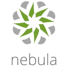 ZYXEL NEBULA LIMITED LIFETIME LICENSE 1 X NAP
