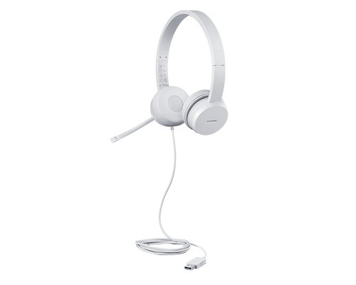 LENOVO 110 Stereo USB Headset