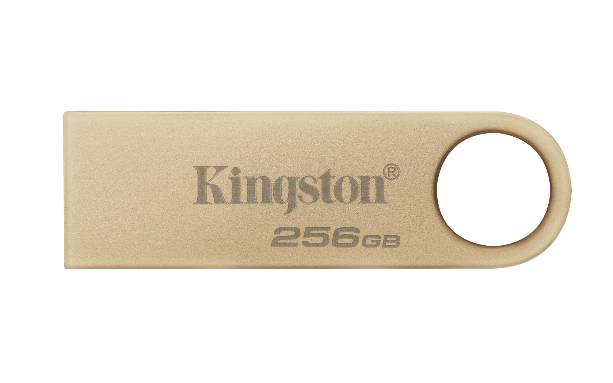MEMORY DRIVE FLASH USB3.2/256GB DTSE9G3/256GB