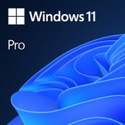 Software, MICROSOFT, Win 11 Pro GGK