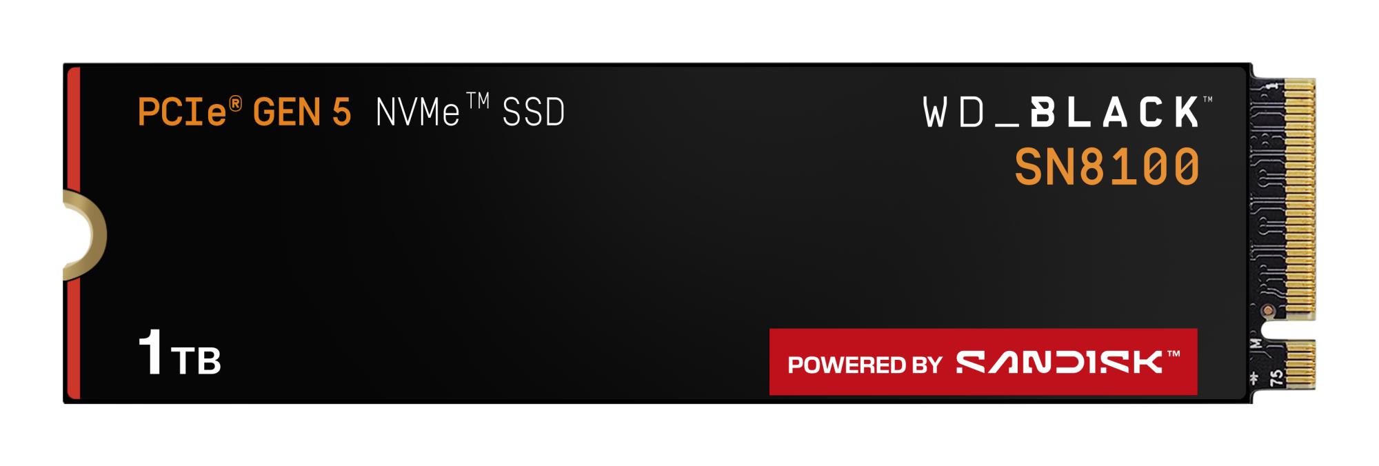 SSD, SANDISK, 2400xTBW rating, NVMe Yes
