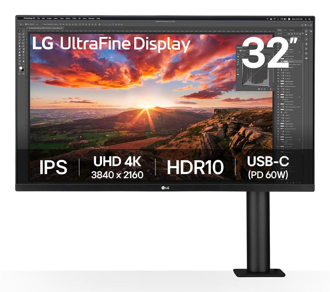 LCD Monitor, LG, 31.5, Panel