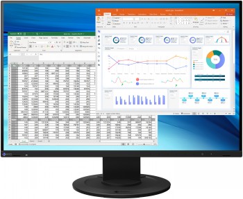 EIZO FLEXSCAN EV2410R 24.1" WUXGA