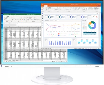 EIZO FLEXSCAN EV2410R 24.1" WUXGA